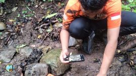 Balai Besar KSDA Jawa Timur melalui Tim RKW 10 Pulau Bawean menggelar patroli keanekaragaman hayati di Suaka Margasatwa (SM) Pulau Bawean.