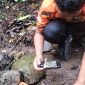 Balai Besar KSDA Jawa Timur melalui Tim RKW 10 Pulau Bawean menggelar patroli keanekaragaman hayati di Suaka Margasatwa (SM) Pulau Bawean.